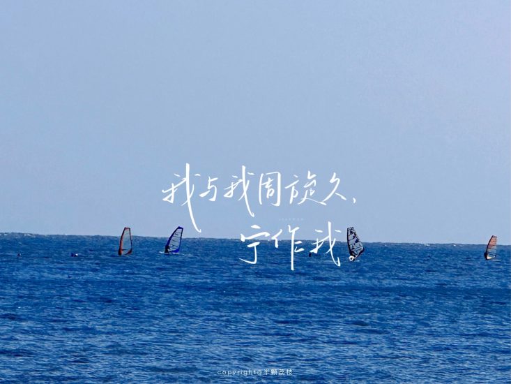 教资 | 2023年下半年初中历史教师资格证面试网课资源 百度云-蛋窝窝