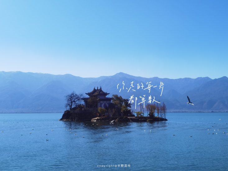 期末不挂科 | 蜂考高斯课堂电工学上速成突击课-蛋窝窝