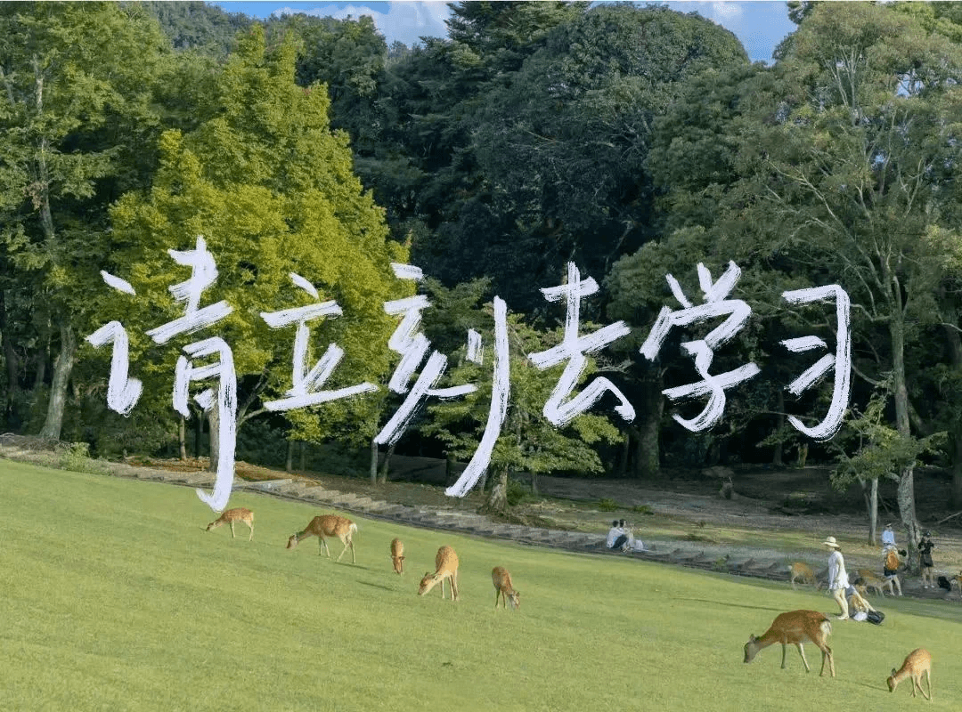 教资 | 2023年下半年小学体育教师资格证面试网课资源 百度云-蛋窝窝